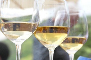 Foto vino di Ciak appunti di vino