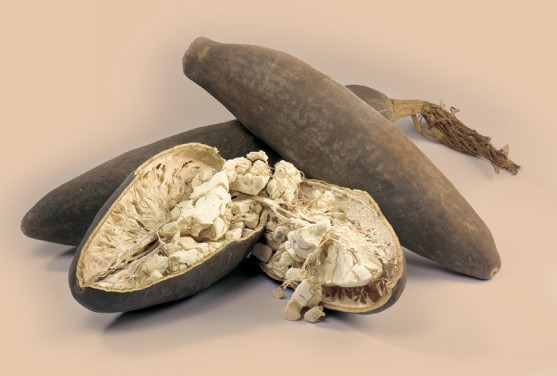 Dieta Antiossidante
