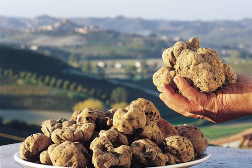 Fiera Del Tartufo