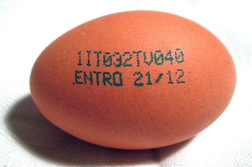 Un uovo