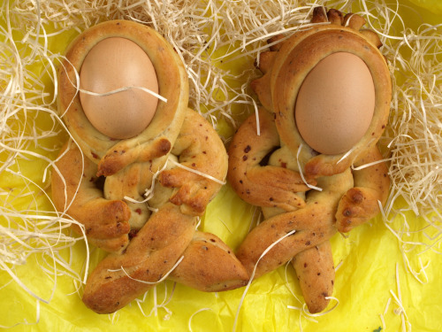 Foto biscotti-pasquali-calabresi di Seguendo la tradizione con i biscotti pasquali calabresi: le cuzzupe