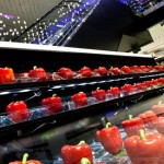 eat's Milano Hotel Excelsior