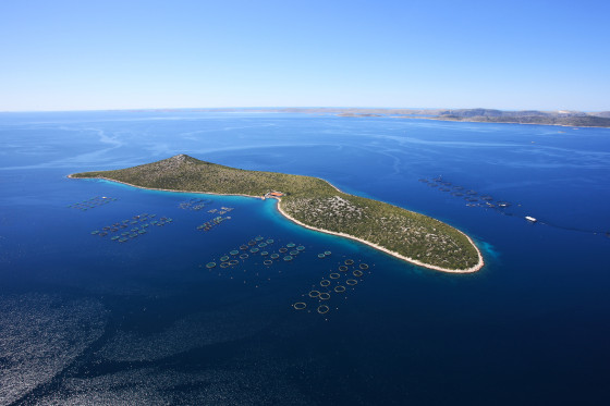 Foto Uzgajaliste-Koþara di Dal mare Adriatico alla tavola, la freschezza è firmata Cromaris