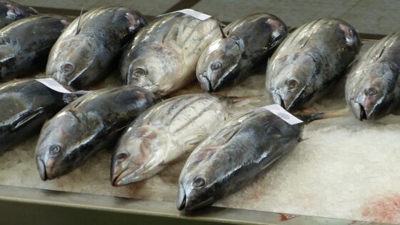 3 modi per riconoscere il pesce fresco
