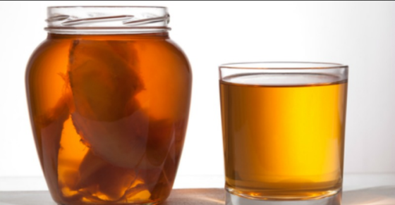 Kombucha