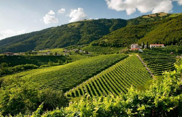 Prosecco Hills, dal vino al marchio turistico