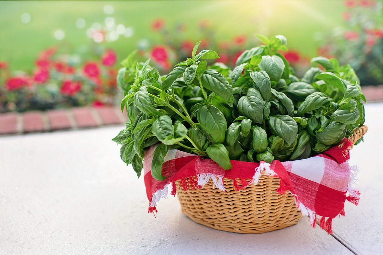 basilico pesto alla genovese ricetta originale - My Italian Recipes