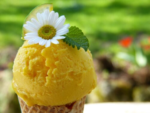Come fare il gelato in casa? 3 idee da copiare
