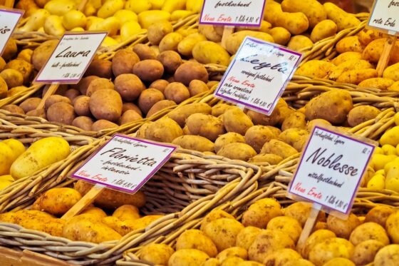 Come conservare le patate?