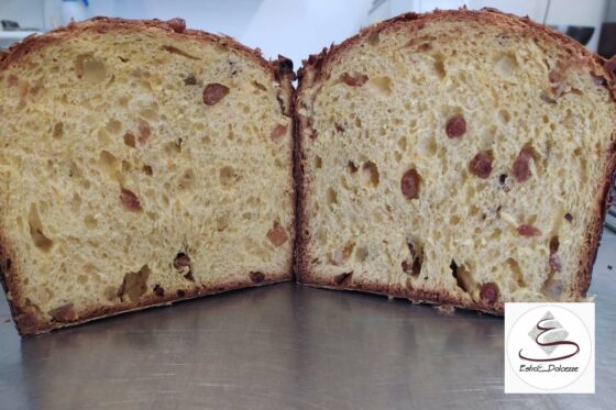 Foto Panettone artigianale – My Italian Recipes di Panettone Day 2020: in finale anche una pasticceria di Tricase