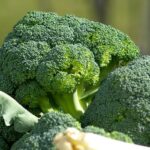 come eliminare l'odore dei broccoli - Myitalian.recipes
