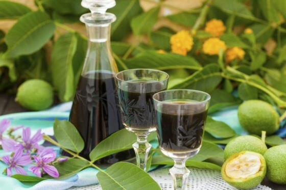 Nocino dei frati, ricetta autentica. Ecco i segreti