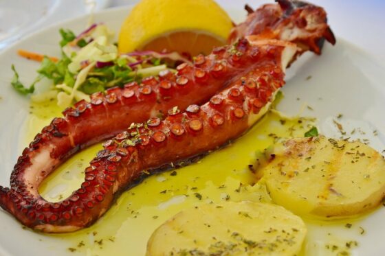 Quanto tempo devono cuocere i calamari