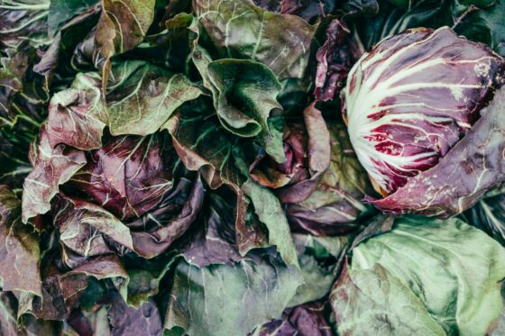 Come si toglie l’amaro dal radicchio