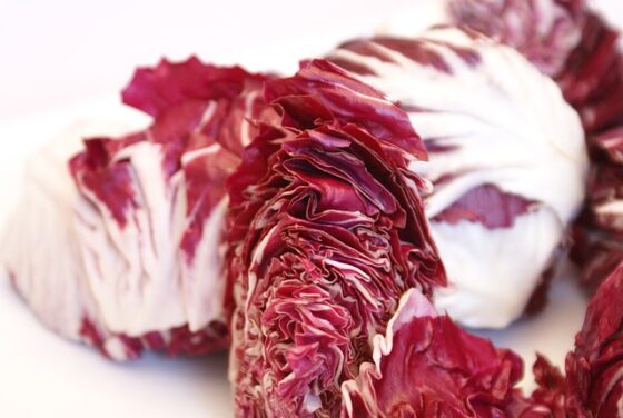 Quanti tipi di radicchio ci sono?