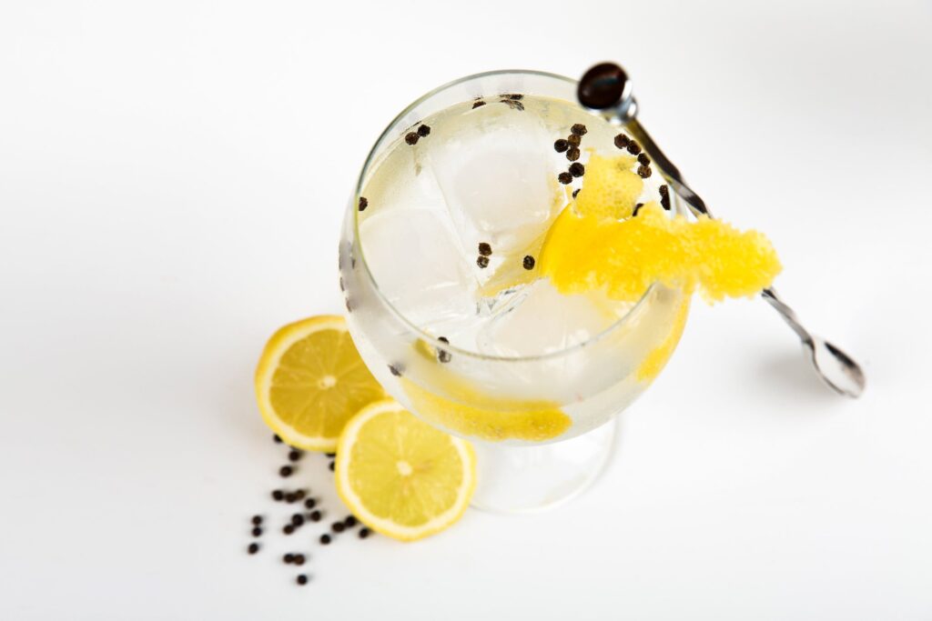 Guida al gin tonic, ingredienti