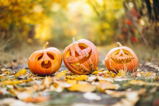 Zucche di Halloween, come non farle ammuffire