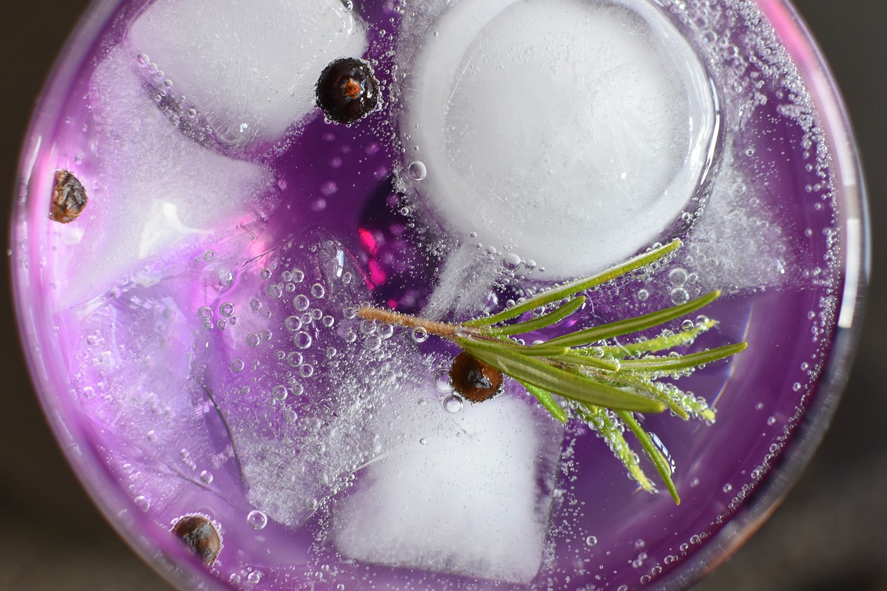 gin tonic ricetta - Ricettepercucinare.com